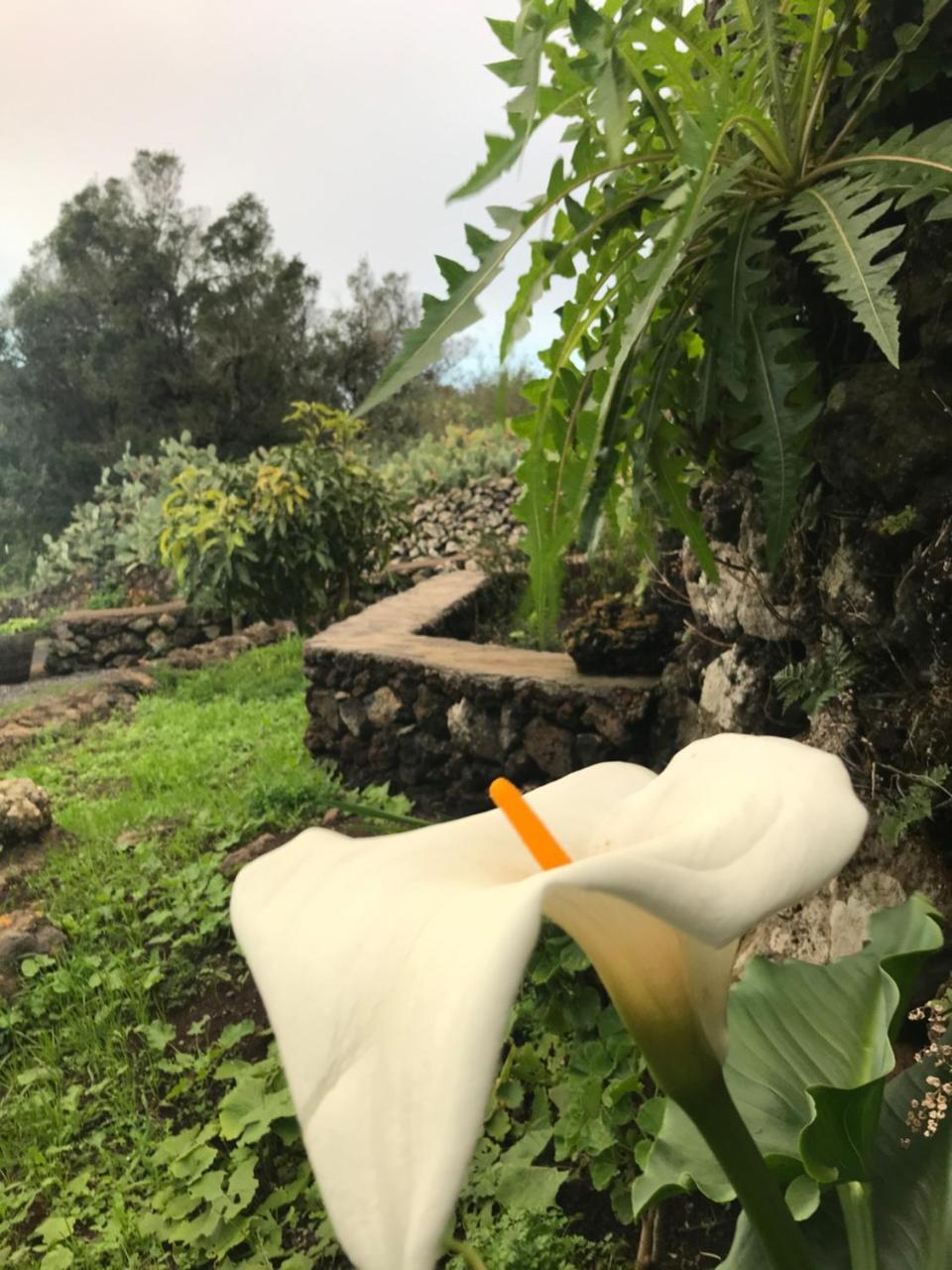 Casas Del Monte II in Valverde, Spain