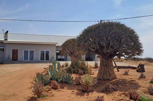Geelkop Plaashuis - last minute hotel in Unknown City