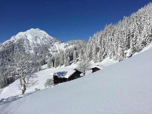 Aparthaus Alpbach Juwel — 4-Star Luxury Hotel in Alpbach, Austria