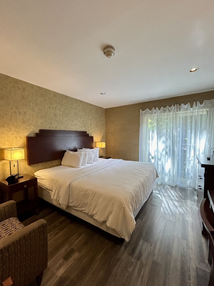 The Woodlands Inn an Ascend Collection hotel - photo 37