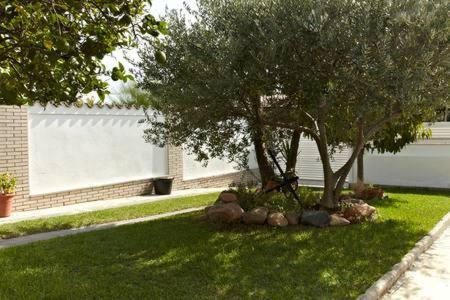 Homing Cambrils 23 — Cambrils — photo 2