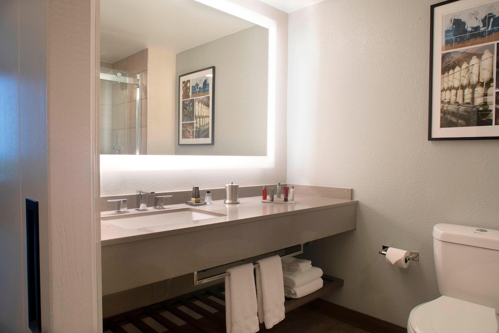 Winston Salem Marriott - photo 20
