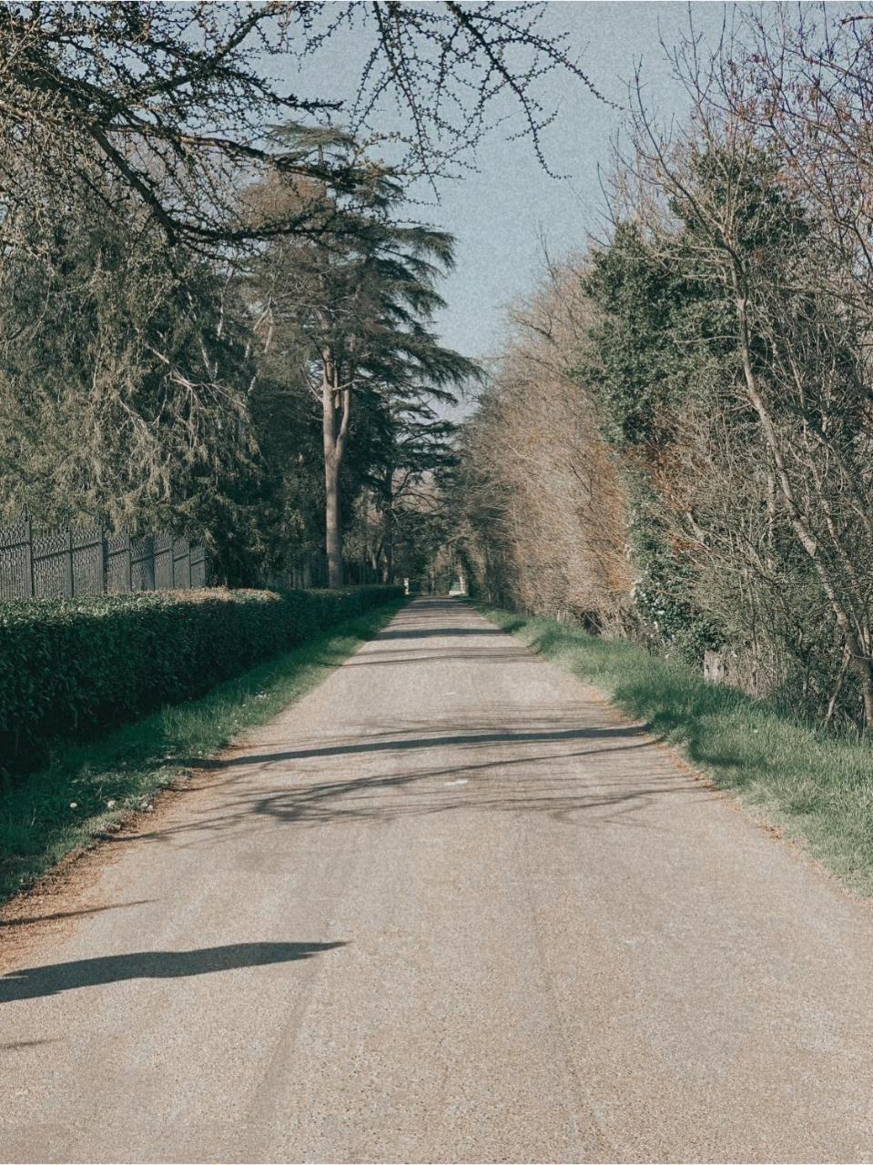 L Estable du Pin — Le Pin — photo 2