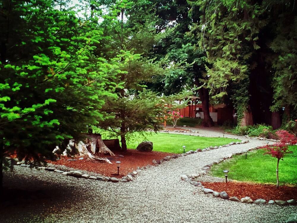 Robin Hood Village Resort - photo 117