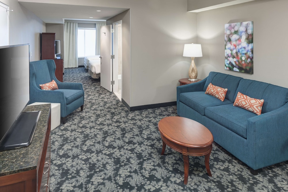 Hilton Garden Inn Frisco - photo 13