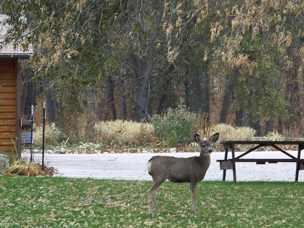 Canyon Lake Resort - photo 43
