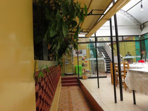 Hospedaje Del Pilar en Magdalena del Mar in Lima, Peru