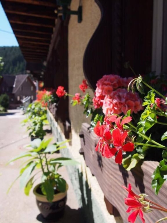 Landgasthof Löwen — Schramberg — photo 5