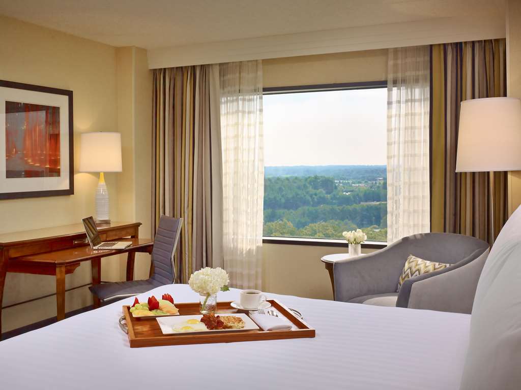 Sonesta Gwinnett Place Atlanta - photo 18