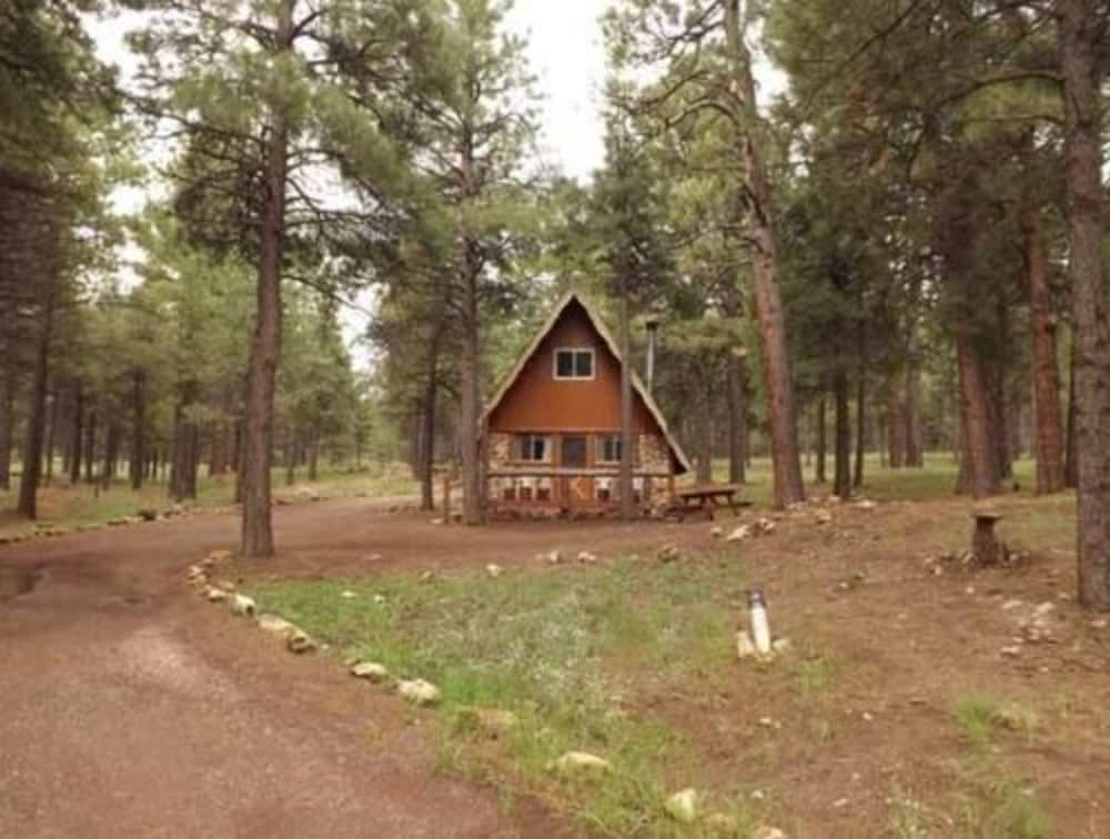 Arizona Mountain Inn and Cabins - photo 117