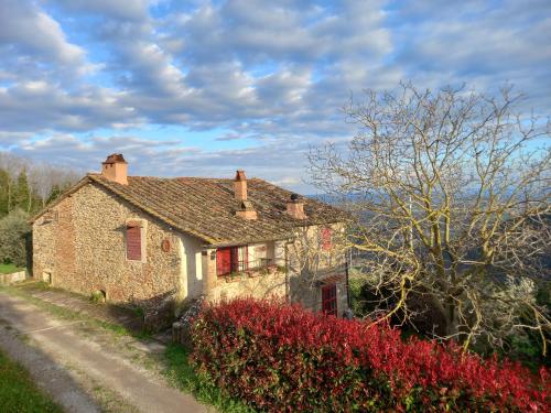 Il Rustico Vicopisano — hotel in Vicopisano