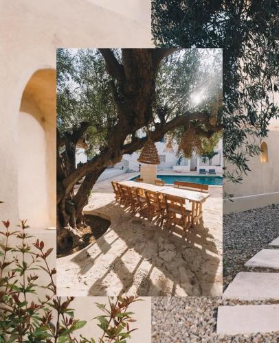 Dar Younes in Houmt El Souk, Tunisia