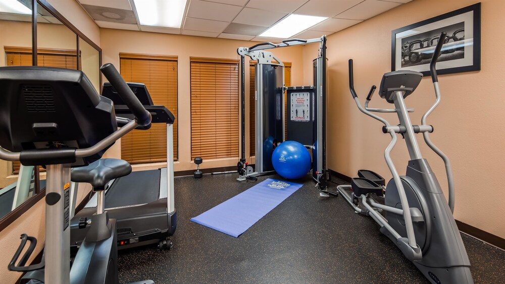 Best Western Plus The Woodlands - photo 15