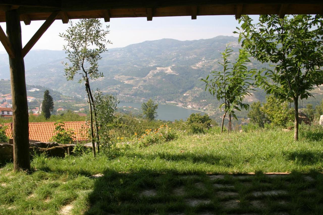 Quinta de Casalmato — Resende — photo 4