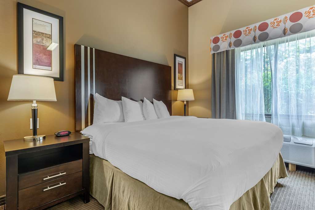 Best Western Plus Texoma Hotel & Suites - photo 24