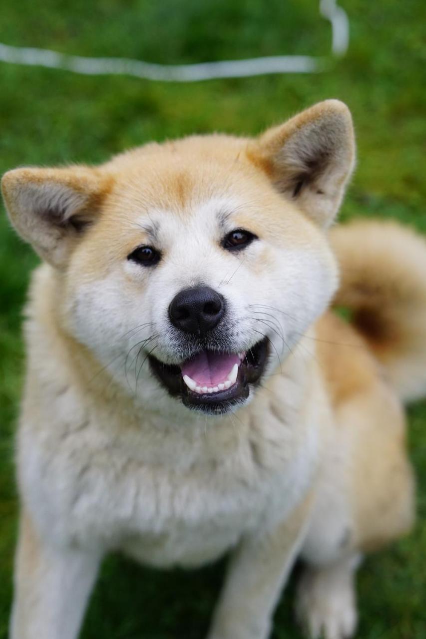 Casuta dintre brazi Valea Doftanei 2 camere in Unknown City, Romania