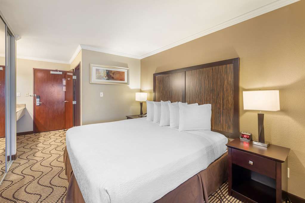 Best Western Plus Orchid Hotel & Suites - photo 44