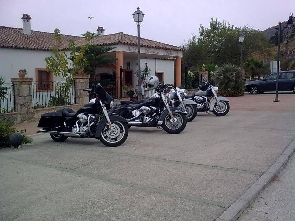 Caballo Andaluz — hotel in Gaucin