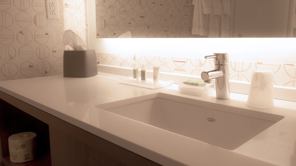 Holiday Inn and Suites Philadelphia W Drexel Hill - photo 40