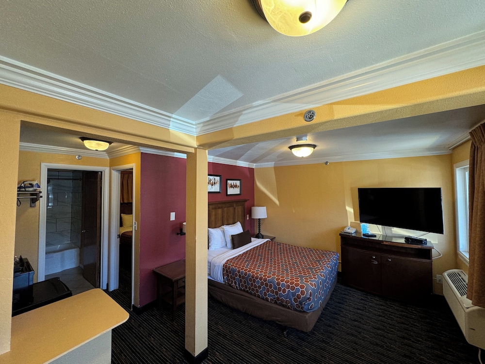 The Royal Victorian Motel - photo 31
