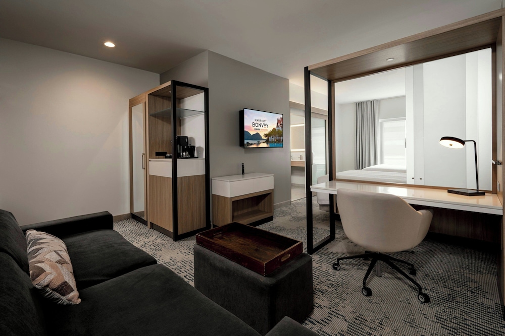Springhill Suites Houston Brookhollow - photo 10