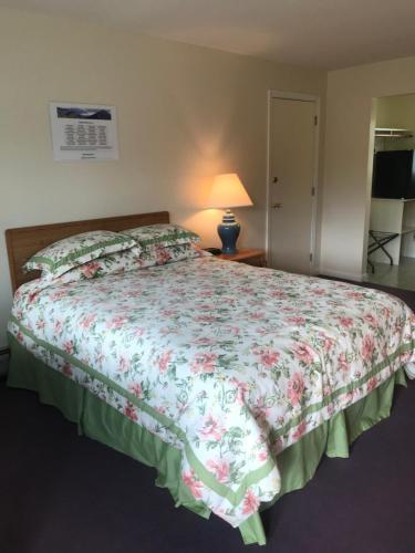Four Seasons Motor Inn - photo 28