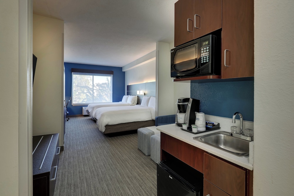 Holiday Inn Express Hotel & Suites Gadsden W Near Attalla by IHG - photo 32