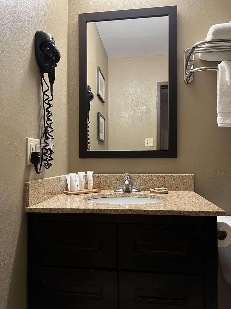 Country Inn & Suites By Radisson Battle Creek MI - photo 26