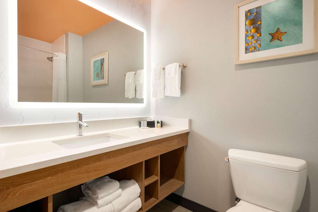 La Quinta Inn & Suites by Wyndham San Antonio Seaworld LAFB - photo 29