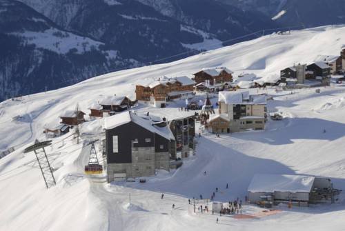 Hotel Alpina — hotel in Fiesch