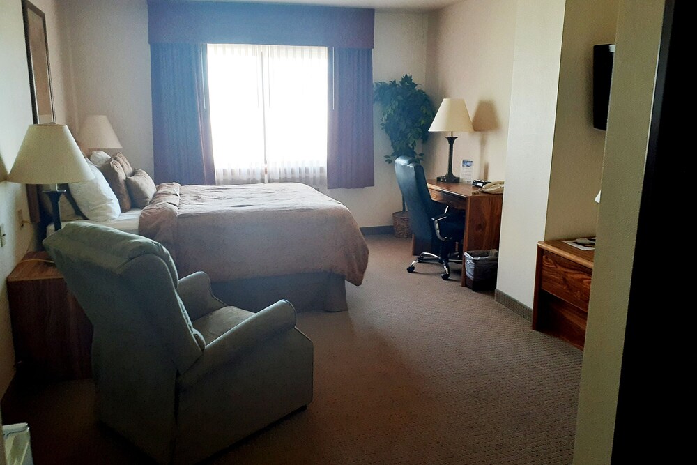 Single Tree Inn - photo 14