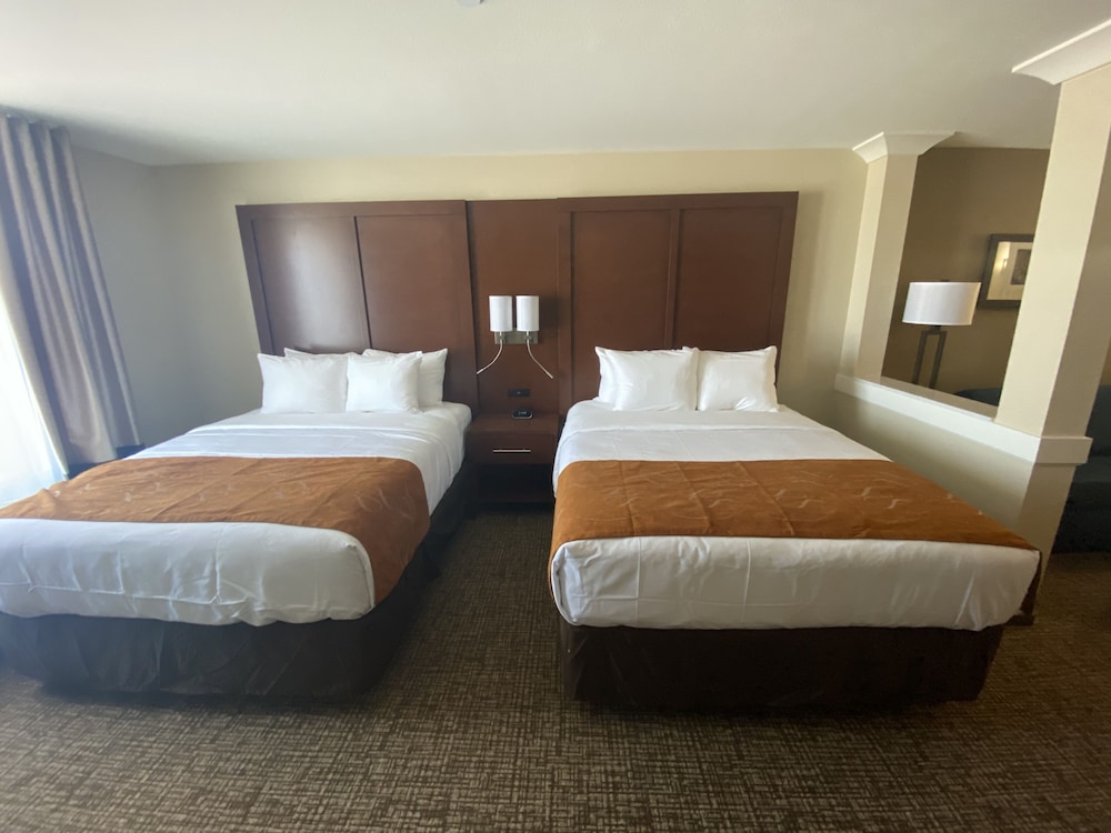 Comfort Suites Midland West - photo 7