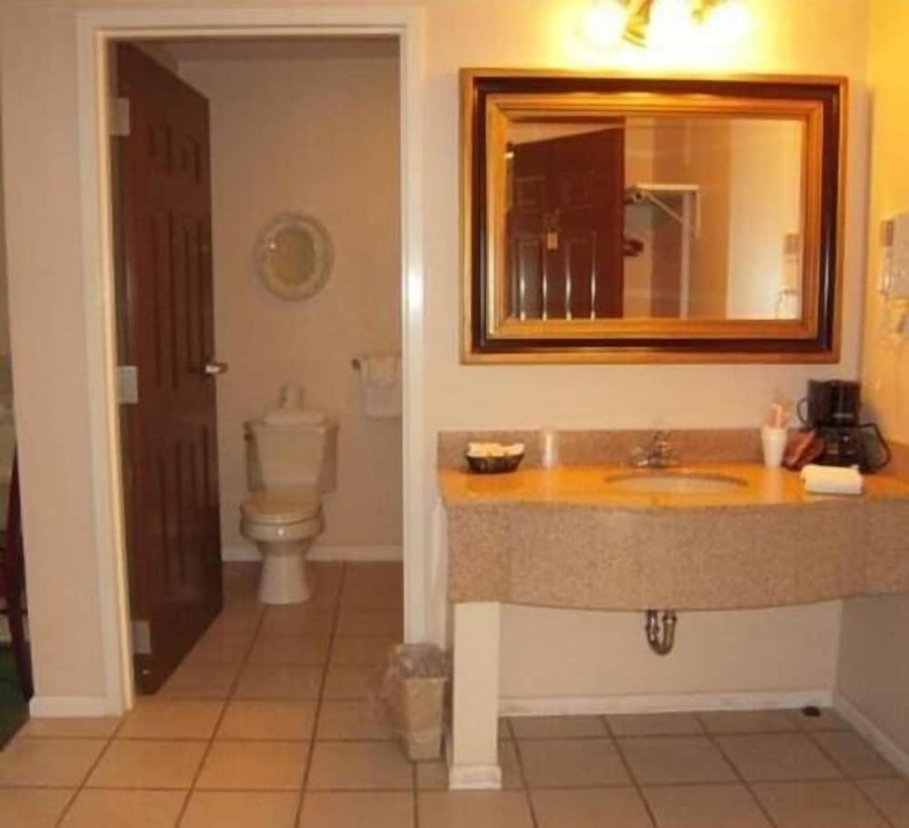 Colonie inn and Suites - photo 17