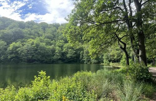 Nature Park View — Unknown City — photo 5