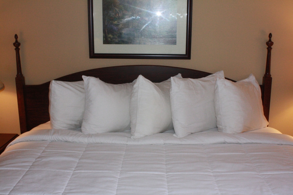 Mansion View Inn and Suite - photo 21