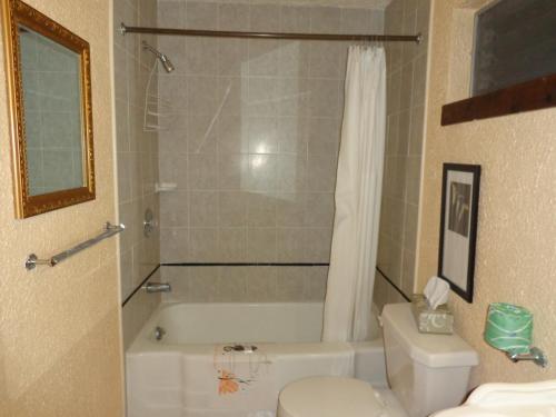 Fountain Motel - photo 26