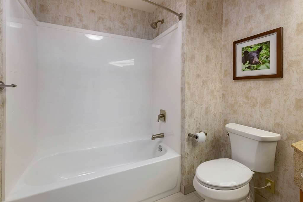 Comfort Inn Missoula North Shopping District - photo 14