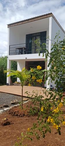 Amanda’s Tiny Heaven in Unknown City, Mauritius