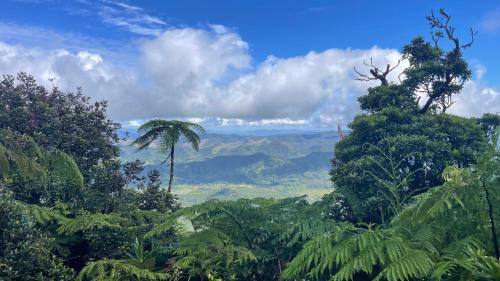 Village Stay Fiji at Navai Village Fiji in Unknown City, Fiji