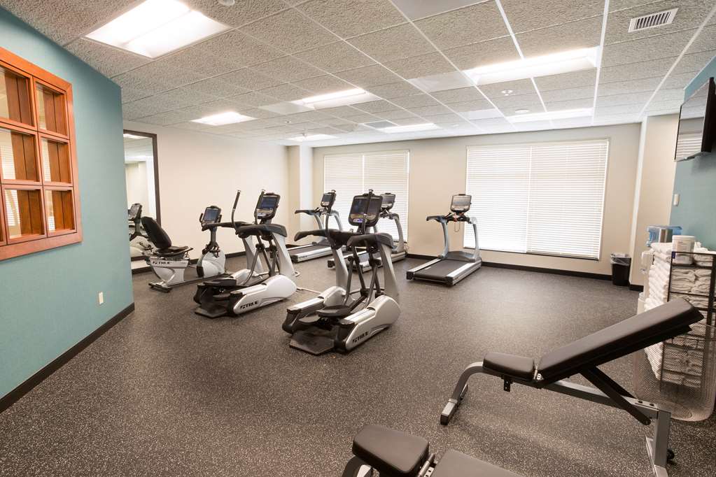 Drury Plaza Hotel St. Louis Brentwood - photo 21