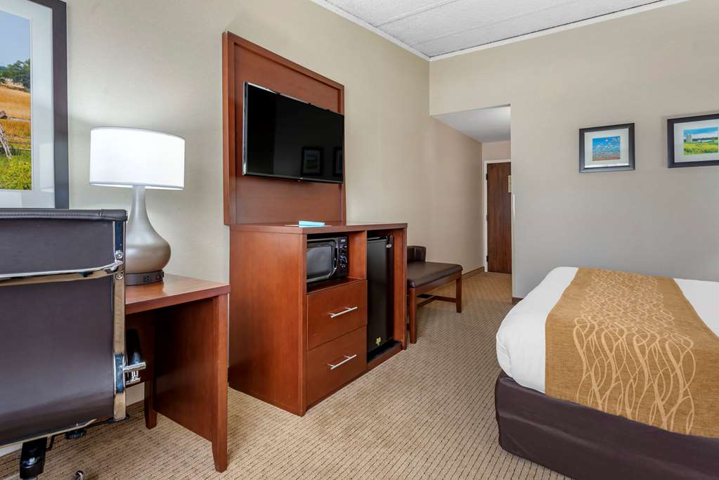 Comfort Inn Lancaster County North - photo 9