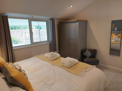 Hazel — Bovey Tracey — photo 4