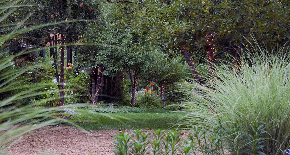 Harmony Ridge Lodge - photo 27