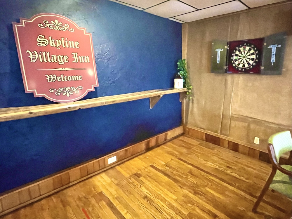 Skyline Village Inn - photo 89