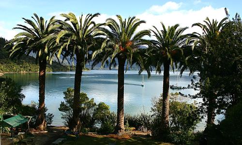 Te Mahia Bay Resort in Picton, New Zealand