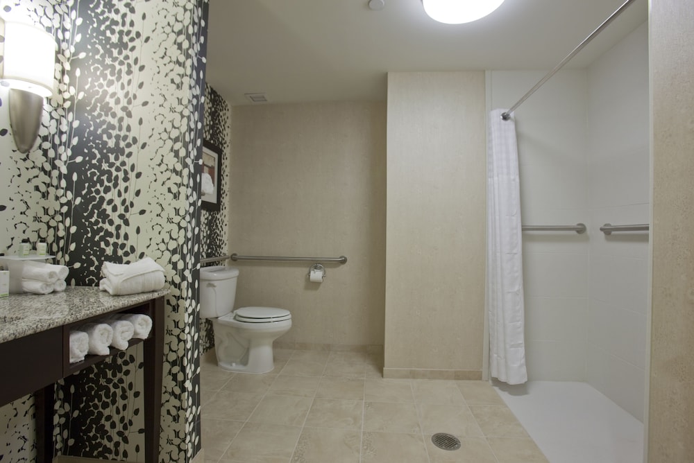 Embassy Suites Buffalo - photo 25