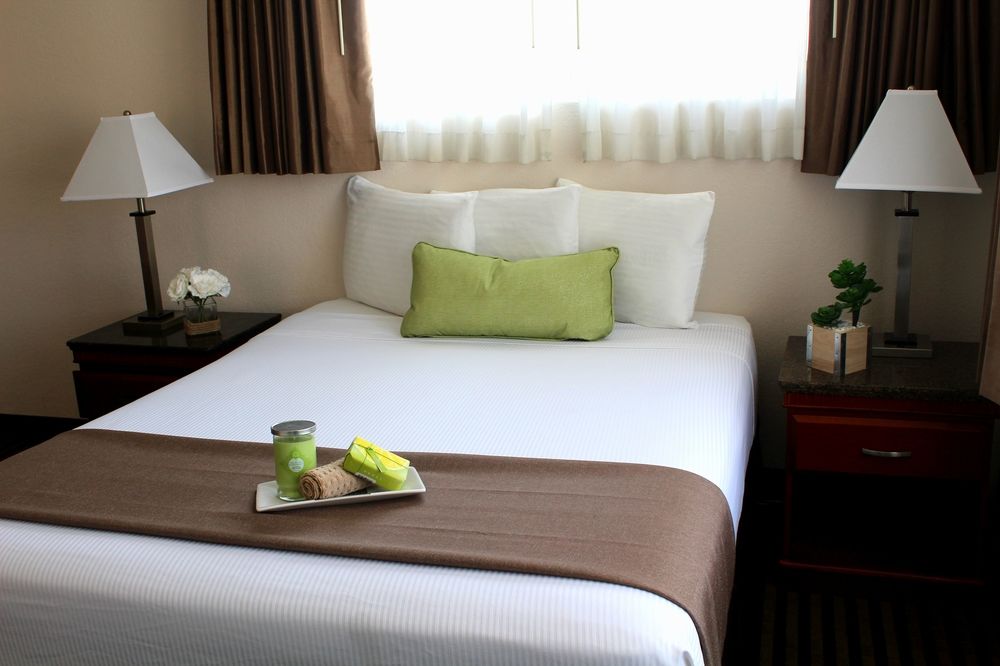 Marina Inn and Suites - photo 10