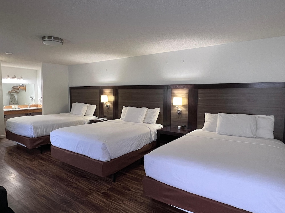 Sunrise Motor Inn - photo 9