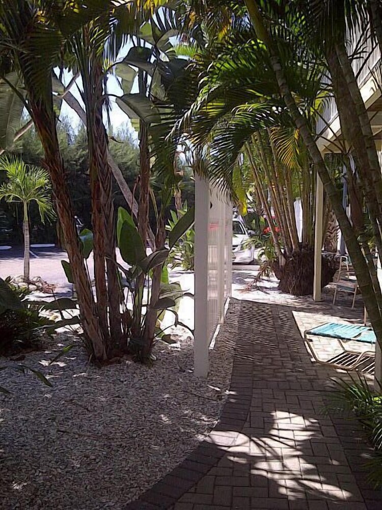 Coquina On The Beach - photo 51