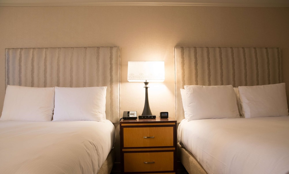 Hilton Wilmington Christiana - photo 8